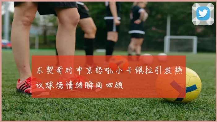 东契奇对申京怒吼小卡佩拉引发热议球场情绪瞬间回顾