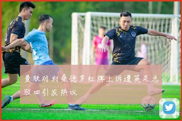 曼联对利桑德罗红牌上诉遭英足总驳回引发热议