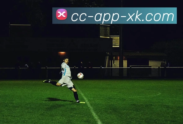 星空体育APP 封面图