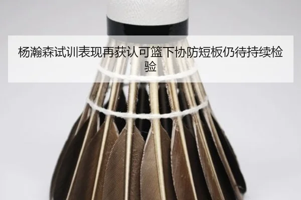 杨瀚森试训表现再获认可篮下协防短板仍待持续检验